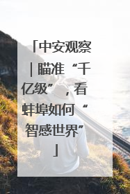 中安观察｜瞄准“千亿级”，看蚌埠如何“智感世界”