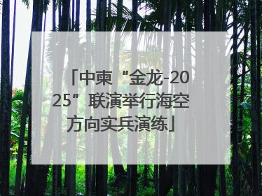 中柬“金龙-2025”联演举行海空方向实兵演练
