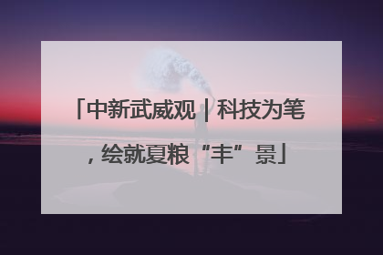 中新武威观｜科技为笔，绘就夏粮“丰”景