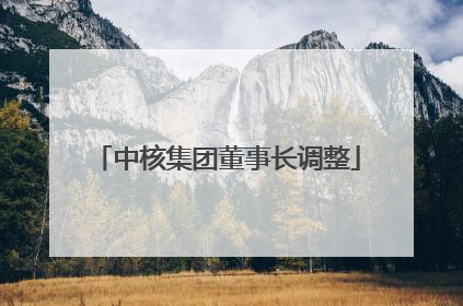 中核集团董事长调整