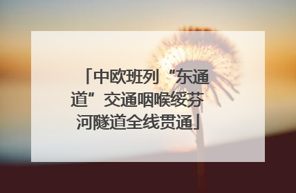 中欧班列“东通道”交通咽喉绥芬河隧道全线贯通
