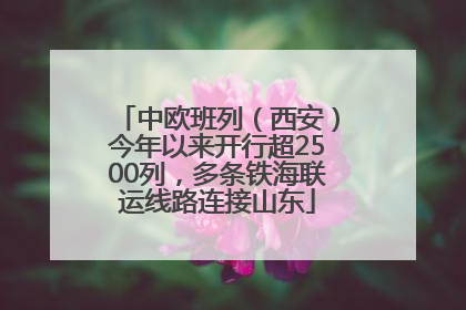 中欧班列（西安）今年以来开行超2500列，多条铁海联运线路连接山东