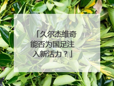 久尔杰维奇能否为国足注入新活力？