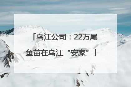 乌江公司：22万尾鱼苗在乌江“安家”