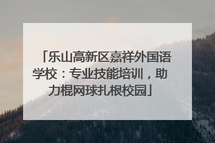 乐山高新区嘉祥外国语学校：专业技能培训，助力棍网球扎根校园
