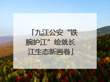 九江公安“铁腕护江”绘就长江生态新画卷