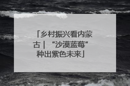 乡村振兴看内蒙古｜“沙漠蓝莓”种出紫色未来