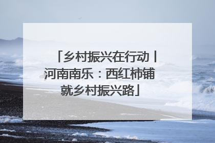 乡村振兴在行动丨河南南乐：西红柿铺就乡村振兴路