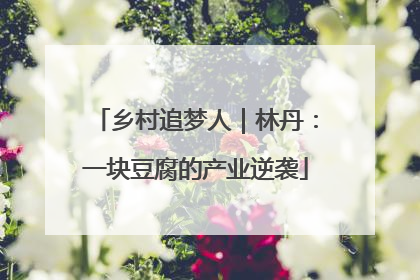 乡村追梦人｜林丹：一块豆腐的产业逆袭