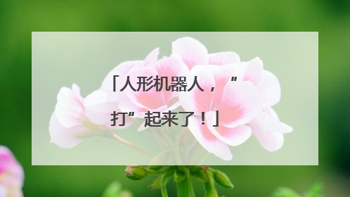人形机器人，“打”起来了！