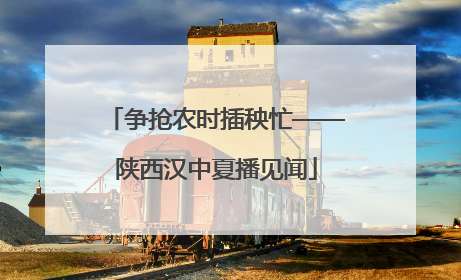 争抢农时插秧忙——陕西汉中夏播见闻
