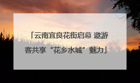 云南宜良花街启幕 邀游客共享“花乡水城”魅力