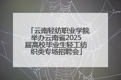云南轻纺职业学院举办云南省2025届高校毕业生轻工纺织类专场招聘会