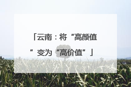 云南：将“高颜值”变为“高价值”