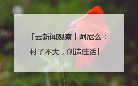 云新闻观察︱阿尼么：村子不大，创造佳话