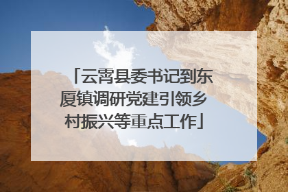 云霄县委书记到东厦镇调研党建引领乡村振兴等重点工作