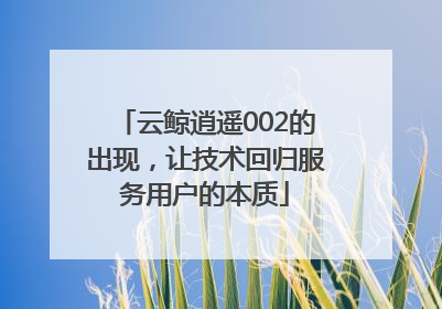 云鲸逍遥002的出现，让技术回归服务用户的本质