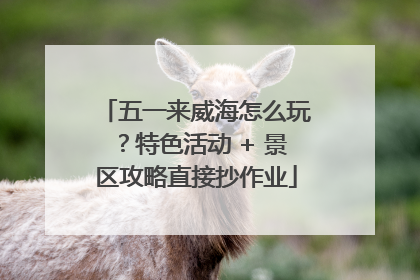 五一来威海怎么玩？特色活动 + 景区攻略直接抄作业
