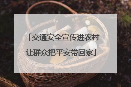 交通安全宣传进农村 让群众把平安带回家