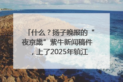 什么？扬子晚报的“夜京畿”紫牛新闻稿件，上了2025年镇江中考模拟卷！