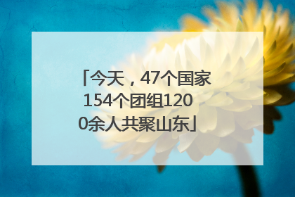 今天，47个国家154个团组1200余人共聚山东