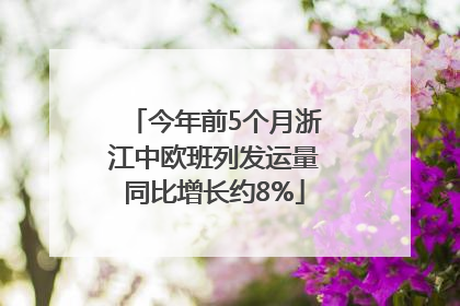 今年前5个月浙江中欧班列发运量同比增长约8%