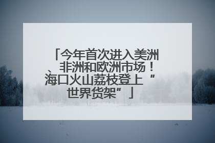 今年首次进入美洲、非洲和欧洲市场！海口火山荔枝登上“世界货架”