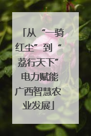 从“一骑红尘”到“荔行天下” 电力赋能广西智慧农业发展