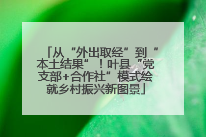 从“外出取经”到“本土结果”！叶县“党支部+合作社”模式绘就乡村振兴新图景