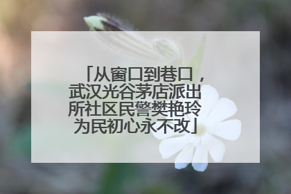 从窗口到巷口，武汉光谷茅店派出所社区民警樊艳玲为民初心永不改