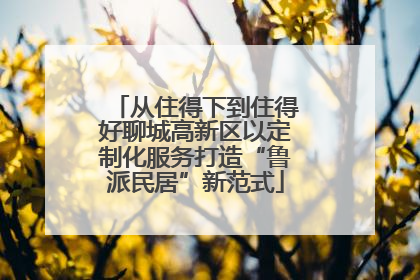 从住得下到住得好聊城高新区以定制化服务打造“鲁派民居”新范式