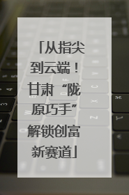 从指尖到云端！甘肃“陇原巧手”解锁创富新赛道