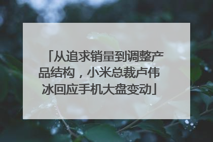 从追求销量到调整产品结构，小米总裁卢伟冰回应手机大盘变动
