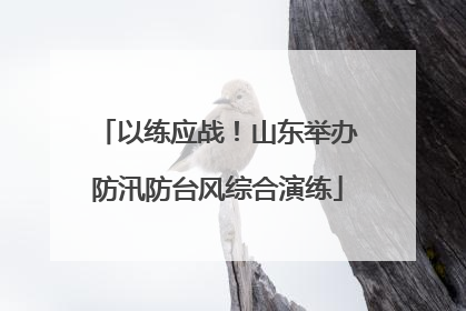 以练应战！山东举办防汛防台风综合演练