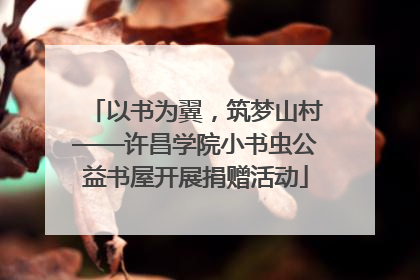 以书为翼，筑梦山村——许昌学院小书虫公益书屋开展捐赠活动