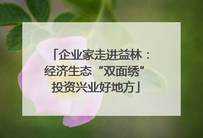 企业家走进益林：经济生态“双面绣” 投资兴业好地方