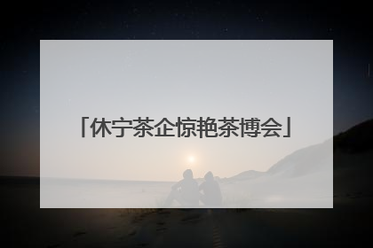 休宁茶企惊艳茶博会