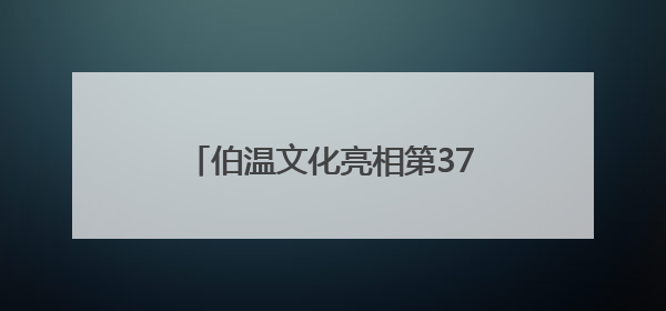 伯温文化亮相第37届都灵国际书展 向世界讲好文成故事