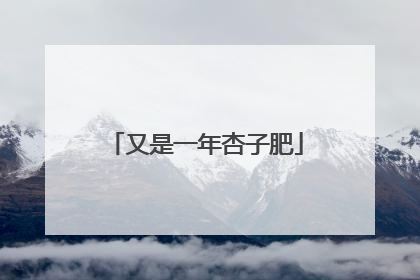 又是一年杏子肥