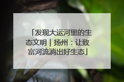 发现大运河里的生态文明｜扬州：让致富河流淌出好生态