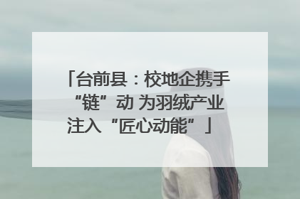 台前县：校地企携手“链”动 为羽绒产业注入“匠心动能”
