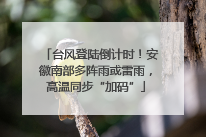 台风登陆倒计时！安徽南部多阵雨或雷雨，高温同步“加码”