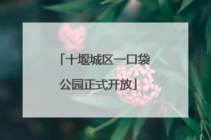 十堰城区一口袋公园正式开放