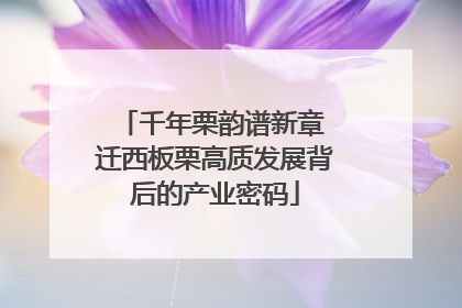 千年栗韵谱新章 迁西板栗高质发展背后的产业密码