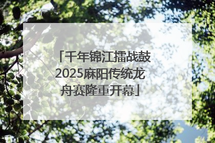千年锦江擂战鼓 2025麻阳传统龙舟赛隆重开幕