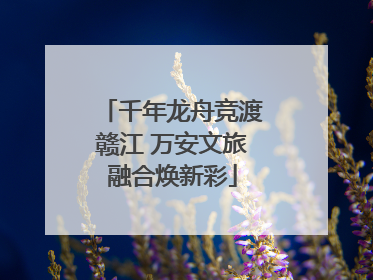 千年龙舟竞渡赣江 万安文旅融合焕新彩