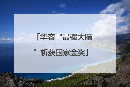 华容“最强大脑”斩获国家金奖