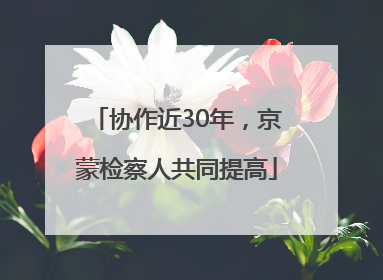协作近30年，京蒙检察人共同提高