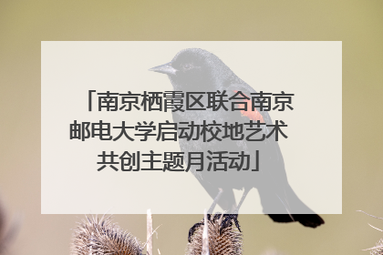 南京栖霞区联合南京邮电大学启动校地艺术共创主题月活动