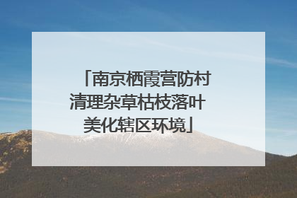 南京栖霞营防村清理杂草枯枝落叶美化辖区环境